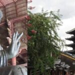 KYOTO-NARA: Giant Buddha Deer Pagoda "Geisya" (Italian, full day) - Transportation and Timing