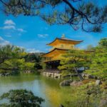 Kyoto/Nara: Must-see Spots in One Day Tour with Hotel Pickup - Final Thoughts on This Experience