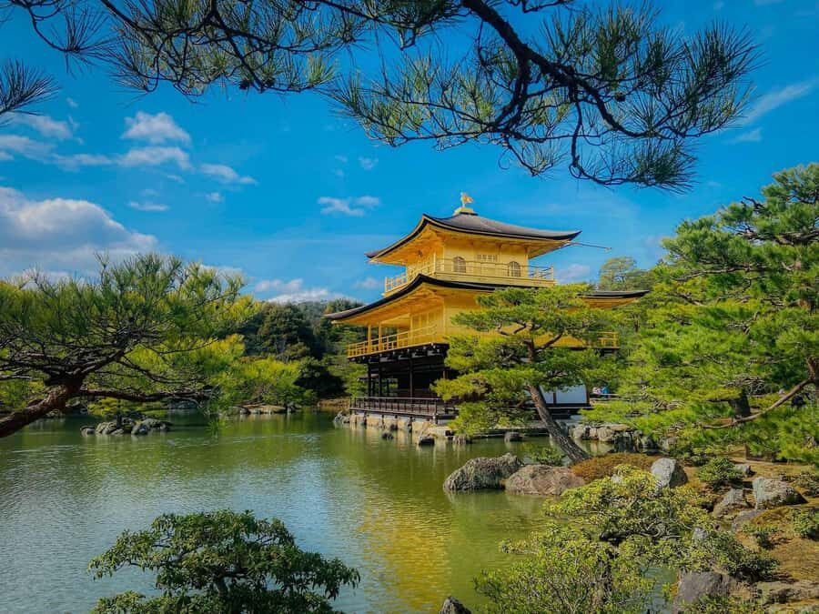 Kyoto/Nara: Must-see Spots in One Day Tour with Hotel Pickup - Final Thoughts on This Experience