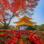 Kyoto & Nara: Private Custom Guided Tour with Hotel Pickup - Who Should Book This Tour?