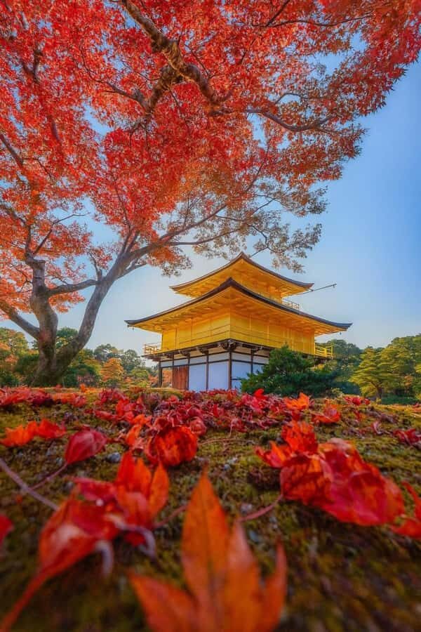 Kyoto & Nara: Private Custom Guided Tour with Hotel Pickup - Who Should Book This Tour?