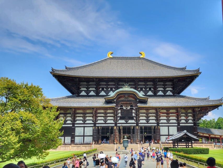 Kyoto: Nara, Todaiji, Kasuga Taisha Shrine Private Full Day - Why Choose This Tour?