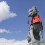 Kyoto One-Day Tour: Top 4 Highlights from Osaka - Final Thoughts