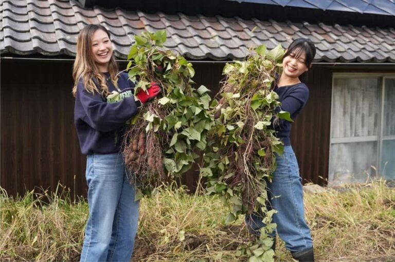 Kyoto: Organic Farm Experience with Vegetable Souvenir - Detailed Itinerary Breakdown