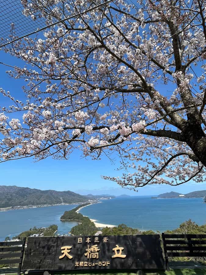 Kyoto/Osaka: Amanohashidate Panoramic View & Ine 1-Day Tour - Practical Details and Value