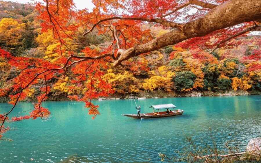 Kyoto/Osaka: Kyoto and Nara Customizable Guided Day Trip - Who Should Consider This Tour?