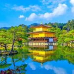 Kyoto/Osaka: Kyoto and Nara Customized Private Guided Tour - Value and Practical Considerations