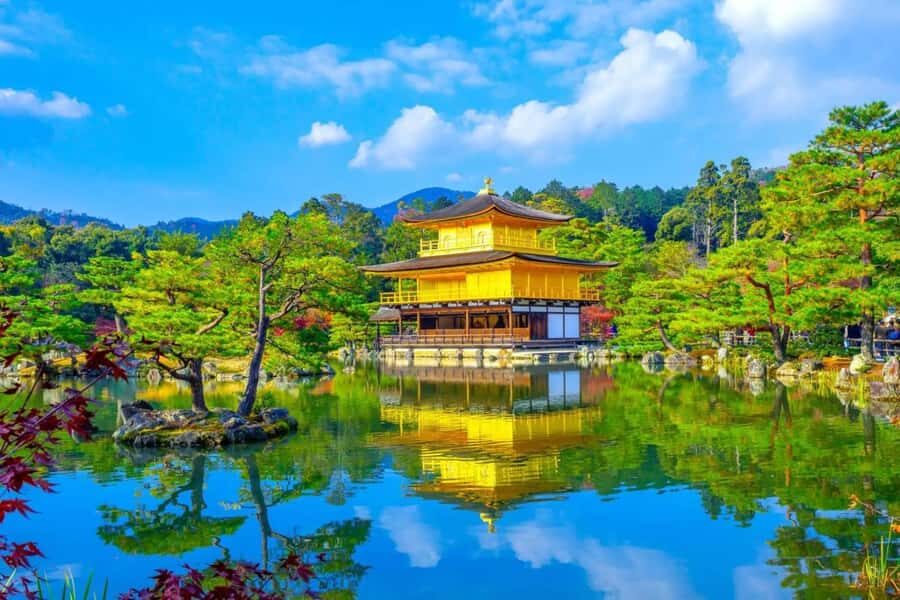 Kyoto/Osaka: Kyoto and Nara Customized Private Guided Tour - Value and Practical Considerations