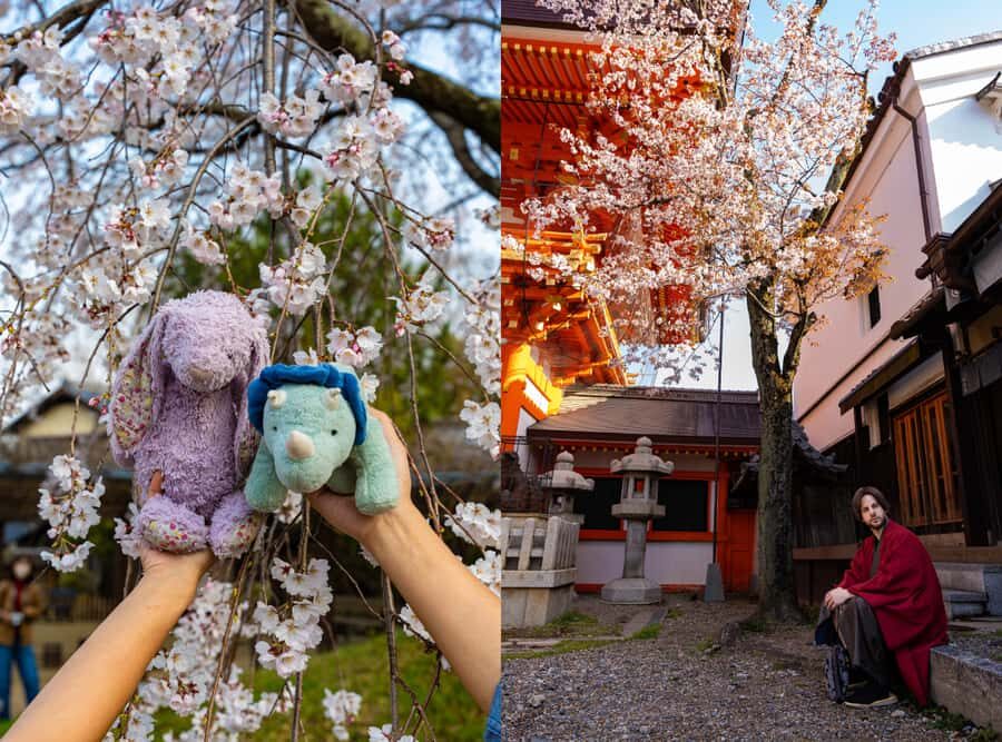 Kyoto: Private Cherry Blossom Photoshoot - Why Choose This Photoshoot?