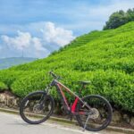 Kyoto: Private Countryside E-Bike Tour with Lunch and Tea - What Makes This Tour Stand Out?