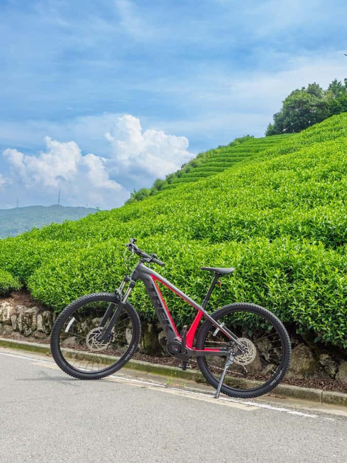 Kyoto: Private Countryside E-Bike Tour with Lunch and Tea - What Makes This Tour Stand Out?