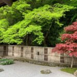 Kyoto: Private Cultural and Historical Tour in Spanish - The Value of a Private Guided Experience