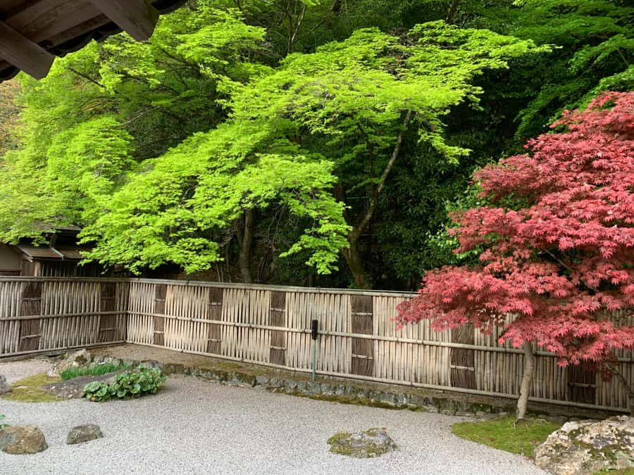 Kyoto: Private Cultural and Historical Tour in Spanish - The Value of a Private Guided Experience