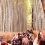 Kyoto Private & Customizable Tour with English-Speaking Driver - Authentic Experiences and Practical Tips