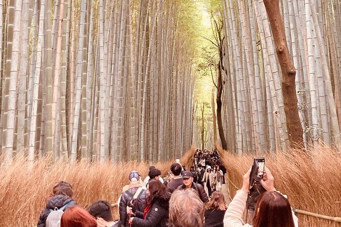 Kyoto Private & Customizable Tour with English-Speaking Driver - Authentic Experiences and Practical Tips