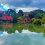 Kyoto Private Customizable Tour With Guide & Luxury vehicle - What Makes This Tour Stand Out
