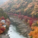 Kyoto Private Customizable Tour With Guide & Luxury vehicle - Who Would Love This Tour?