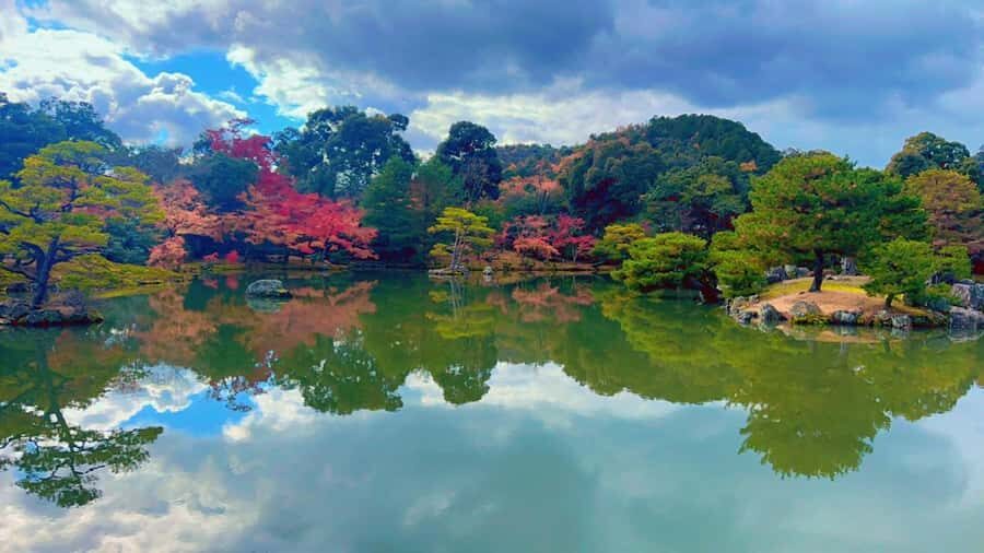 Kyoto Private Customizable Tour With Guide & Luxury vehicle - What Makes This Tour Stand Out