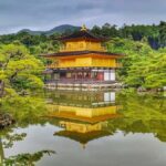 Kyoto: Private Customized Tour with English Speaking Guide - The Value and Practicalities of the Tour
