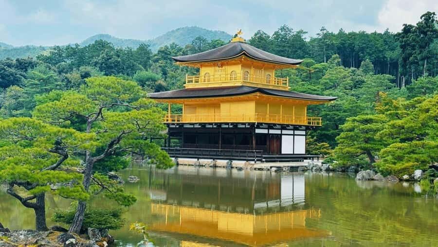 Kyoto: Private Full-Day Custom Tour with Guide & Vehicle - The Comfort of Private Transportation & Flexibility