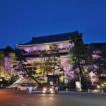 Kyoto: Private Guided Tour with a Brazilian Local Expert - Exploring Kyoto with a Private Guide: What You Can Expect