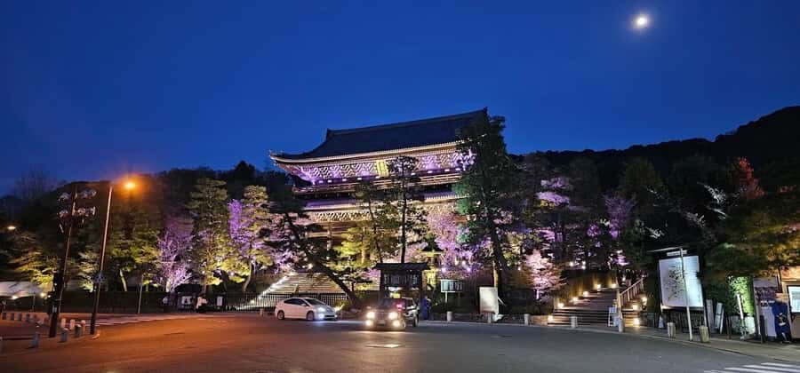 Kyoto: Private Guided Tour with a Brazilian Local Expert - Exploring Kyoto with a Private Guide: What You Can Expect