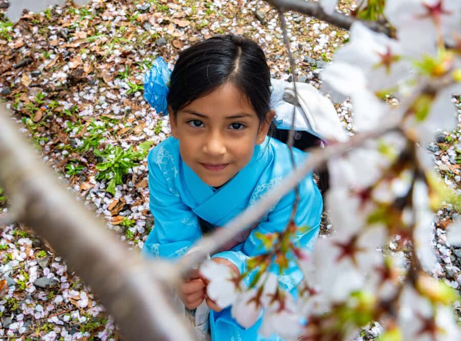 Kyoto: Private Guided Walking Tour of Kyoto with an expert - Tour Logistics and Practicalities