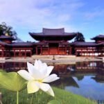 Kyoto Private Hydrangea Tour by Car and Rail - Who Should Consider This Tour?