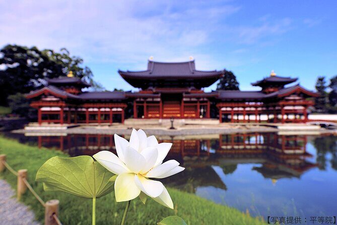 Kyoto Private Hydrangea Tour by Car and Rail - Who Should Consider This Tour?