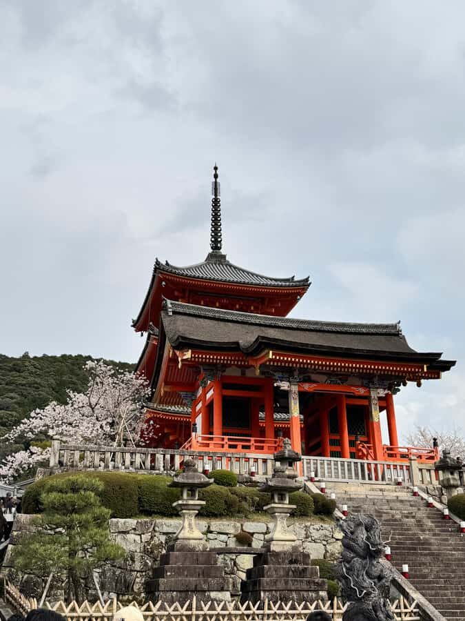 Kyoto: Private Kyoto and Nara Customizable Day Tour - Morning Highlights: Arashiyama and Fushimi Inari