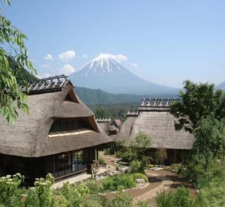 Kyoto: Private Mount Fuji & Hakone Tour with Guide - Who Should Book This Tour?