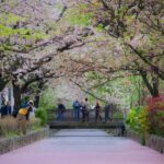 Kyoto Private Photoshoot: Fushimi Inari, Gion & Bamboo - The Experience in Detail