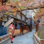 Kyoto Private Photoshoot: Fushimi Inari, Gion & Bamboo - What to Expect During the Photoshoot