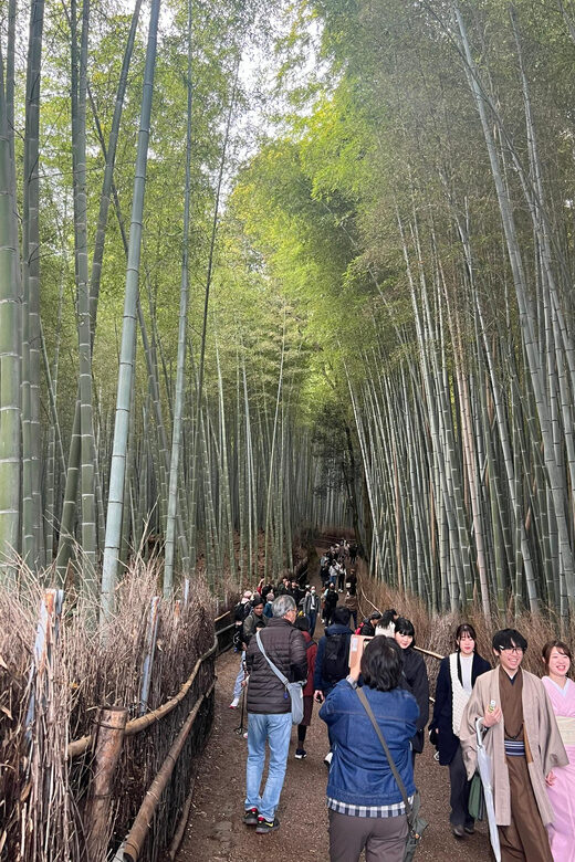 Kyoto: Private tour, Arashiyama, Bamboo Forests and Sacred Temples - Final Thoughts
