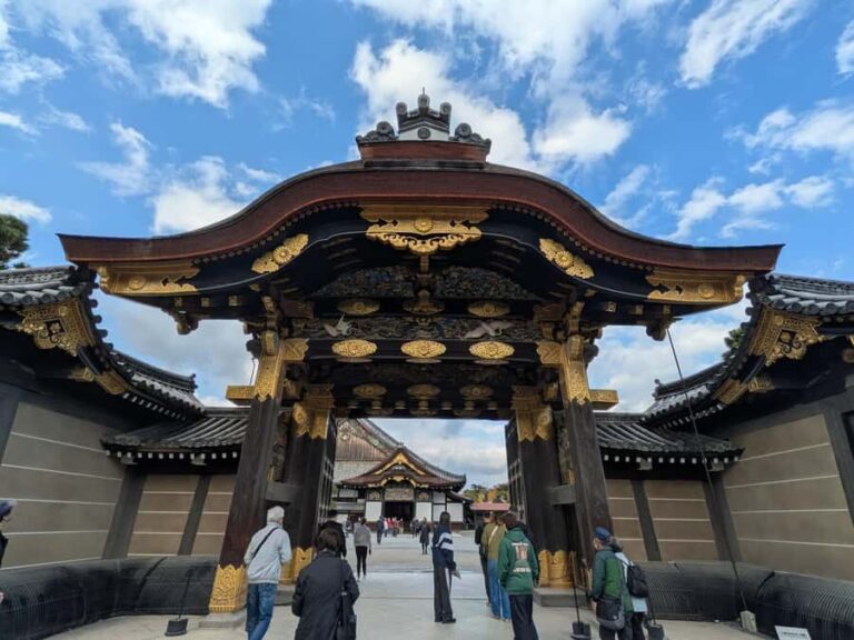 Kyoto Private Tour Licensed Guide & Car from Osaka/Kyoto - Final Thoughts