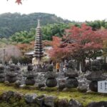 Kyoto: Quiet Arashiyama and Sagano Temples Guided Tour - Discovering the Quiet Charm of Arashiyama and Sagano