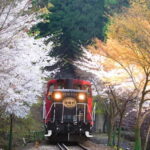 Kyoto: Sagano Romantic Train and Hozugawa River Cruise - What to Expect in Terms of Duration and Group Size