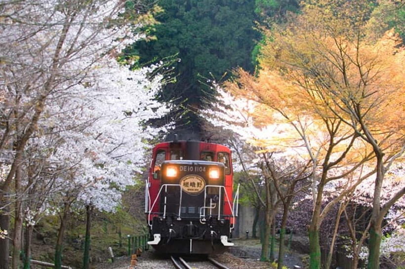 Kyoto: Sagano Romantic Train and Hozugawa River Cruise - What to Expect in Terms of Duration and Group Size