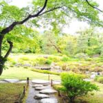 Kyoto: Serene Garden Philosophy at Murin-an with Matcha Tea - The Guided Tour Experience: What to Expect
