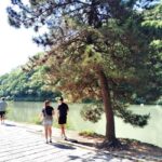 Kyoto: Serene Morning Walk in Arashiyama Bamboo Grove - Practical Considerations