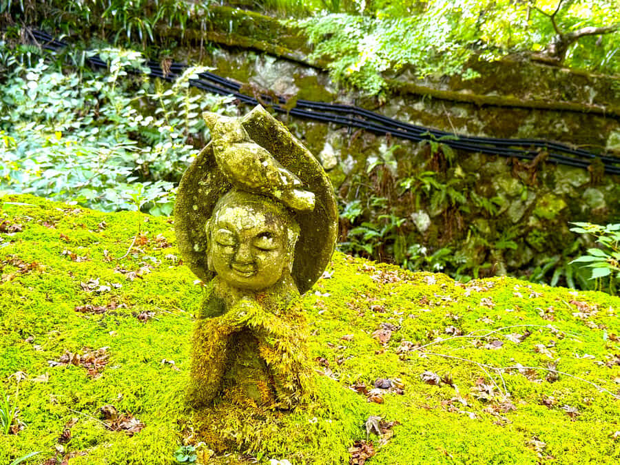 Kyoto: The Hidden Sanctuary of Sanzen-in Temple - What Makes This Tour Special?