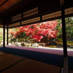 Kyoto: Timeless Kodaiji - Journey Through Historic Kyoto - A Taste of Kyoto’s Culinary Traditions