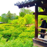 Kyoto: Tofuku-ji Temple and Komyo-in Guided Walking Tour - Value and Practical Considerations