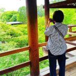 Kyoto: Tofuku-ji Temple and Komyo-in Guided Walking Tour - Final Thoughts