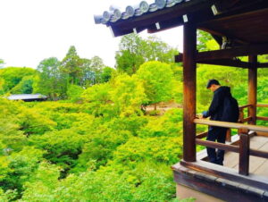 Kyoto: Tofuku-ji Temple and Komyo-in Guided Walking Tour - Value and Practical Considerations