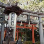 Kyoto: Traditional Japanese Wedding Ceremony & Photos - Practical Tips for Participants