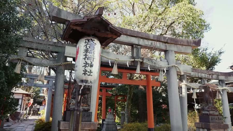 Kyoto: Traditional Japanese Wedding Ceremony & Photos - Practical Tips for Participants