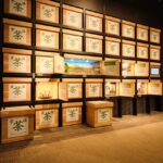 Kyoto: Uji Matcha Tea Museum Entry Ticket - Why This Tour Offers Great Value