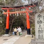 Kyoto: Uji: Matcha & UNESCO History Tour with Expert Guide - Exploring Ujigami Shrine: Japan’s Oldest Shinto Shrine
