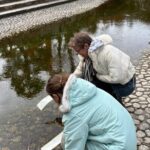 Kyoto World Heritage Walk: Shimogamo Shrine & Manga Souvenirs - The Itinerary in Detail